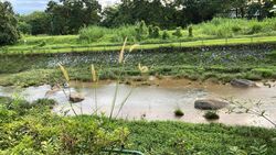 Blk 687A Choa Chu Kang Drive (Choa Chu Kang), HDB 4 Rooms #489176761